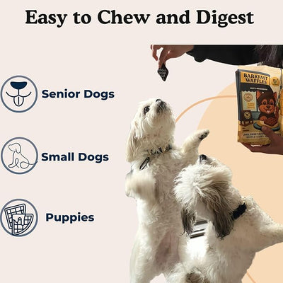 Barkfast Waffles Soft Lamb Dog Treats, 8 oz, Natural, Allergy Friendly | Only 4 Ingredients, No Chicken, Made in USA, Senior Dogs