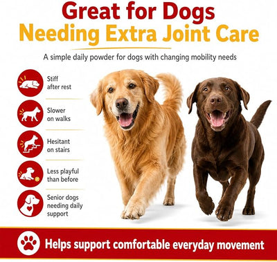 HappyWags Paw Parent Macho's Secret Powder,Paw Parent Hip & Joint Support Powder for Dogs,Contains Green Lipped Mussels, Which Improve Joint Flexibility and Bone Health in Dogs.(1pc)