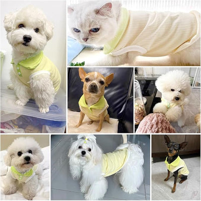 Dog Tshirts for Small Dogs Polo Shirt Stretchy Dog T Shirt Breathable Dogs Cooling Vest Sweatshirts Girl Boy Puppy Dachshund French Bulldog Frenchie Chihuahua Pet Clothes