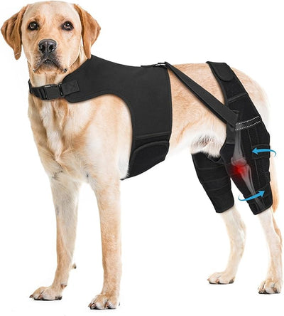 Dog Knee Brace for Torn ACL Hind Leg– Dog Leg Brace with Metal Stabilizers for Dogs with Torn ACL, Luxating Patella, Ligament Injuries & Hip Dysplasia, Limping or Osteoarthritis Recovery, XXL