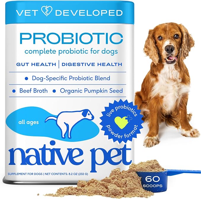 Native Pet Probiotics for Dogs – Dog Probiotic Powder for Gut & Digestive Health, Vet-Formulated 6B CFUs Dog-Specific Probiotic Strains, Supports Stool Quality & Diet Transitions – 60 Scoops