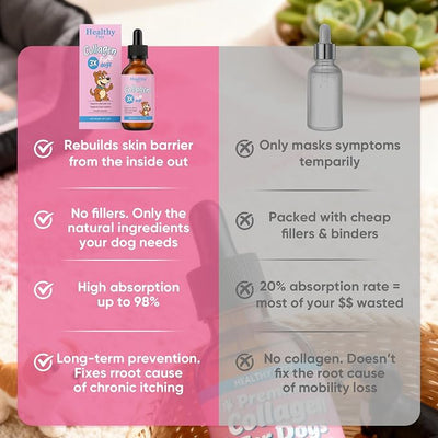 Healthy Petz Premium Liquid Collagen, HealthyPetz Liquid Collagen for Dogs, Supports Joint Relief & Healthy Skin Coat, Gut Health, Premium Collagens Supplement, 2 fl.oz