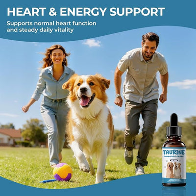 Taurine Supplement for Dogs Liquid Drops, Dog Taurine with Coenzyme Q10 & L-Carnitine, Supports Heart Function, Energy & Daily Vitality, 2 fl oz
