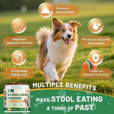 No Poop Eating Deterrent for Dogs, Stop Eating Poop for Dogs, No Poo Chews with Probiotics & Digestive Enzymes 150ct