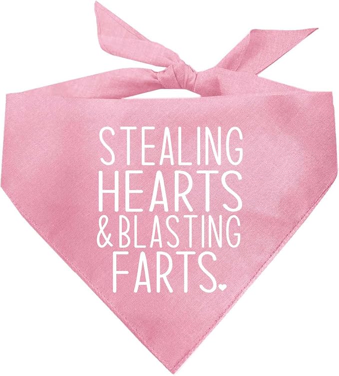 Stealing Hearts Blasting Farts Dog Bandana | 100% Cotton Adjustable Triangle | Made in USA | Valentine's Day | Cute & Funny |Baby Pink, X-Small (983)