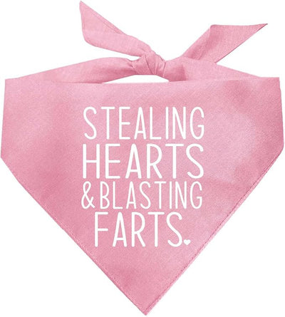 Stealing Hearts Blasting Farts Dog Bandana | 100% Cotton Adjustable Triangle | Made in USA | Valentine's Day | Cute & Funny |Baby Pink, One Size (983)