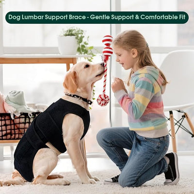 Dog Back Brace for IVDD Recovery, Adjustable Dog Spine Support Harness for Dachshund Corgi French Bulldog Pug, Pain Relief Back Protector for Senior,Post‑Surgery,Long‑Bodied & Overweight Dogs, XL