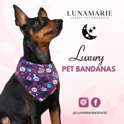 LunaMarie - Luxury Dog Bandanas - Cute Witch Magic Design | Premium & Silky Fabric | 100% Handmade | Custom Shape Dual Layered Reversible Small, Medium, Large Cat Scarf (Bewitched, Small)