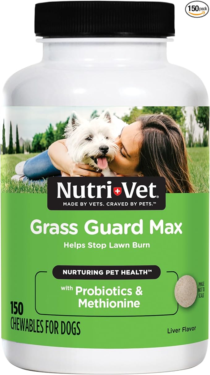 Grass Guard Chewables, Dog Urine Neutralizer for Grass, Lawn Burn Prevention, Gut Health Support with Probiotic and Enzymes, Dog Probiotics, Pet Supplement Tablets, 150 Count