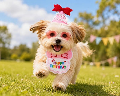 Pet Birthday Outfit for Girl Dog & Cat, 34PCS Puppy Birthday Party Costume with Pink Birthday Hat, Heart Sunglasses & Bandana Bib, Cute Birthday Supplies for Dog Girl Party