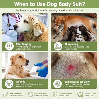Dog Recovery Suit, 2 Packs, Breathable Cotton, Abdominal Wounds Protection, Anti-Licking Onesies for Male Female Pets, Surgery Bandages, Size S, Blue & Green Stripes
