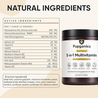 Pupganics Multivitamin Daily Soft Chews for Dogs, Pupganics 5 in 1 Multivitamin, Vitamin & Probiotics for Skin & Hair, Heart Health, Immune Support, Beef Flavor, 60 Soft Chews (1 PCS)