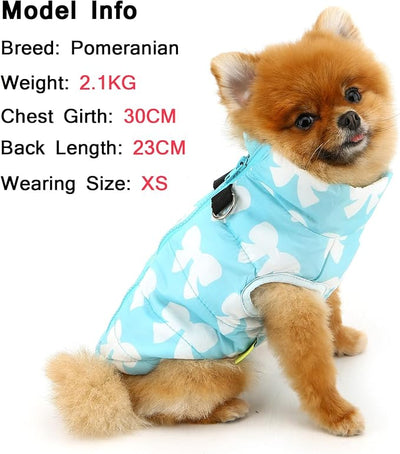 SMALLLEE_LUCKY_STORE Pet Water Resistant Winter Jacket Vest with D-Ring for Small Dog Cat Zip-up Padded Puppy Coat Chihuahua Yorkie Kitten Warm Clothes, Blue, S