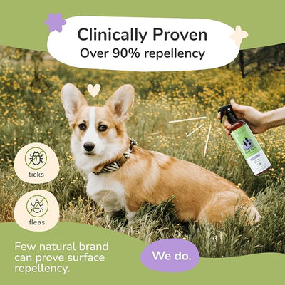 Flea Tick Protection Kit (Lavender Shampoo - Lavender Spray)