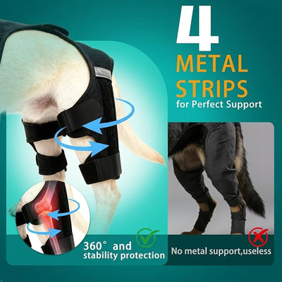 Dog Knee Braces for Torn ACL Hind Leg, Adjustable Dog Leg Braces for Back-Leg with Four Stabilizers for Luxating Patella Relieves Ligament Injury and Joint Pain (2XL)