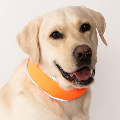 CoolerDog Hi-Vis Cooling Dog Collar for Large Dogs – Reflective Re-Freezable Ice Collar for Hot Weather & Heat Relief (Orange, Large)