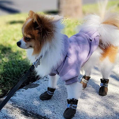 Jecikelon Soft Dog Hoodies for Small Dogs, Fleece Puppy Sweatshirt with Pockets, Warm Winter Cold Weather Coats for Pet Cat, Cute Clothes Puppy Costume (Purple, Small)