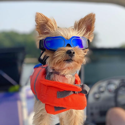 Enjoying Dog Sunglasses Small Breed, Dog Goggles UV Protection, Cycling Eye Protection for Small Dogs, Lightweight Windproof Dustproof Anti-Fog, Adjustable Straps, Bright Blue