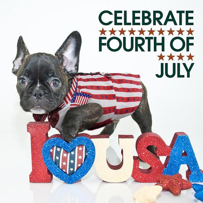 Kuoser Independence Day Dog Tuxedo Dog Suit and Bandana Set, 4Th of July Dog Costume American Flag Dog Outfit with Bow Tie for Large Medium Small Dogs Golden Retriever Samo Bulldogs, M