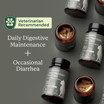 AnimalBiome NEW Probiotics for Cats with S Boulardii (60 Capsules) KittyBiome - Gut Maintain Triple-Action Phage, Prebiotics & Probiotic Cat Supplements for Digestive Health, Open for Easy Food Topper