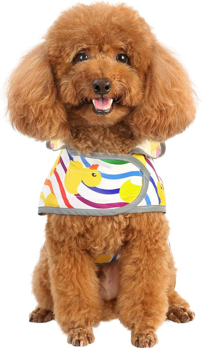 Dog Raincoat for Small Dogs Puppies Waterproof Jacket Hooded Rain Coats with Reflective Strips Leash Hole & Poncho Adjustable Fit (Rainbow,S)