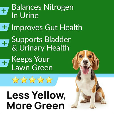 PAWFECTCHEW Green Grass Dogs Chews w/Probiotics - Prevent Urine Burning Grass - Pee Gras Spot Saver - Dog Urine Neutralizer for Lawn Treats, UT & Gut Health for Dogs, Lawn Burn from Dog Urine