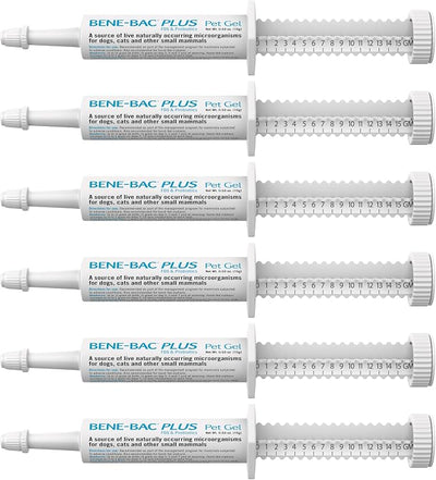 PetAg Bene-Bac Plus Pet Gel - 15 g Syringe, Pack of 6 - FOS & Probiotics for Dogs, Cats, Exotic & Wildlife Mammals