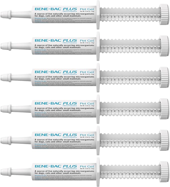Bene-Bac Plus Pet Gel - 15 g Syringe, Pack of 6 - FOS & Probiotics for Dogs, Cats, Exotic & Wildlife Mammals
