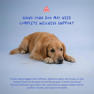 Multivitamin for Dogs 120 Tablets - Glucosamine, Fish Oil & CoQ10 | With Glucosamine, Chondroitin, Fish Oil & CoQ10. Supports joint, skin, heart, gut & immune health.