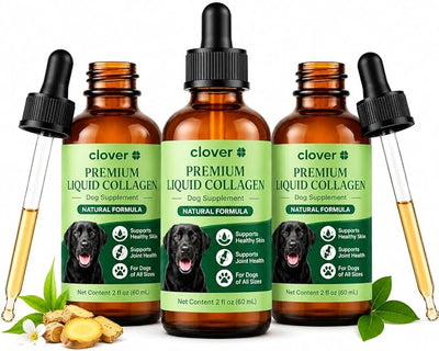 for Dogs, Hip & Joint, Skin & Coat Liquid Drops, 2 oz