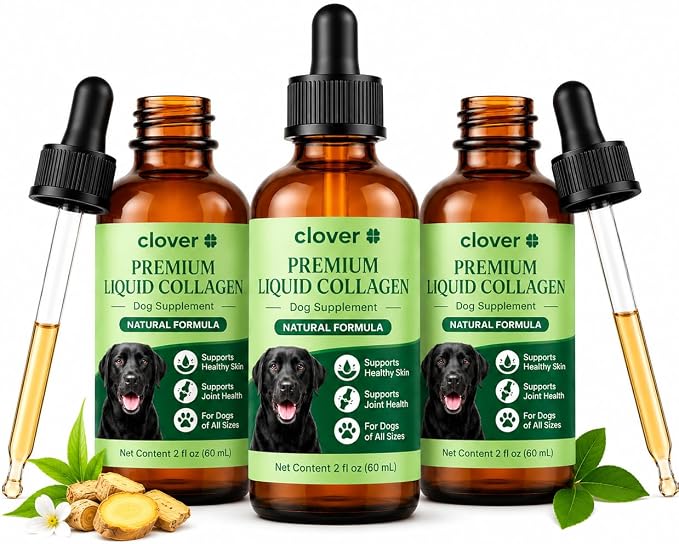 for Dogs, Hip & Joint, Skin & Coat Liquid Drops, 2 oz