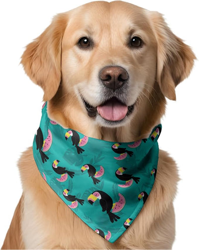 W Brings Bandana for Dogs | This Stunning Gorgeous Design Dog Bandana Scarf is Perfect Styling Accessory for Dogs Large, Medium & Small. One Size Fits All. (Medium - Large, Toucan Watermelon)