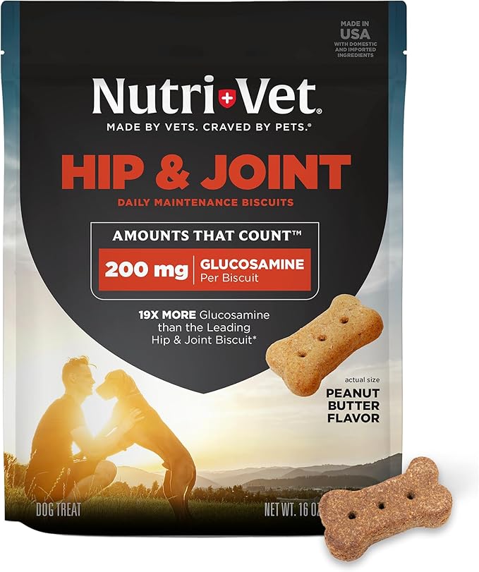 Hip & Joint Biscuits for Dogs, Tasty Glucosamine Treat, Puppy Supplements, Dog Joint Supplement, Small Sized Biscuit with 200mg Glucosamine, Puppy Essentials, Peanut Butter Flavor, 16 oz
