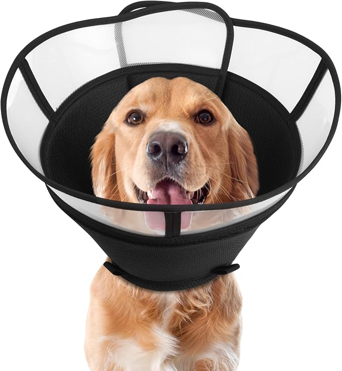 Soft Elizabethan Dog Cone Collar for Large, Medium & Small Dogs - Adjustable Recovery Collar for Post-Surgery, Wound Protection & Licking Prevention - Lightweight Pet Cone Alternative（Black,M）