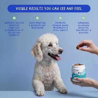 Probiotics for Dogs 90 Soft Chews - Digestive, Gut & Diarrhea | Vet-formulated probiotic with multiple strains. Supports gut health, immune function & relieves diarrhea & digestive issues.
