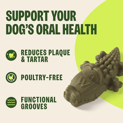 Whimzees Wellness Alligator Natural Dog Dental Treat, Chews, Freshens Breath, Small Size, 12.7 oz Bag, 24 Count