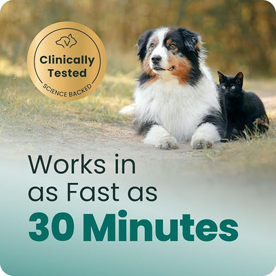 VetriScience Calm & Confident Liquid, Composure Calming and Anxiety Supplement for Dogs and Cats, Reduce Stress and Fear, Ideal for Thunderstorms, Fireworks, Vet & Routine Changes, Unflavored, 8 oz