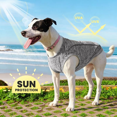 PETCARE Sun Protection Dog Shirts for Small Dogs Quick Dry Soft Stretchy Dog T-Shirts with Reflective Label Tank Top Sleeveless Vest Pet Clothes, Athletic Fabric, Grey, XL (Chest 22" Length 17.7")