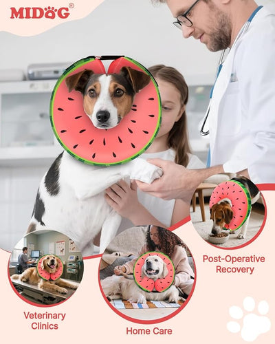 MIDOG Dog Cone Collar for Large Medium Dogs, Soft Inflatable Dog Cone Alternative After Surgery, Adjustable Protective Recovery Cone - Alternative E Collar Does Not Block Vision (Watermelon,M)