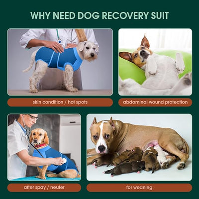 Kuoser Dog Recovery Suit Female, Male Neuter, Postpartum Care, Blue XL, Cotton and Spandex Blend, All Breed Sizes, X-Large (Back: 20.1" - 24.8"; Weight: 42 - 75LB)