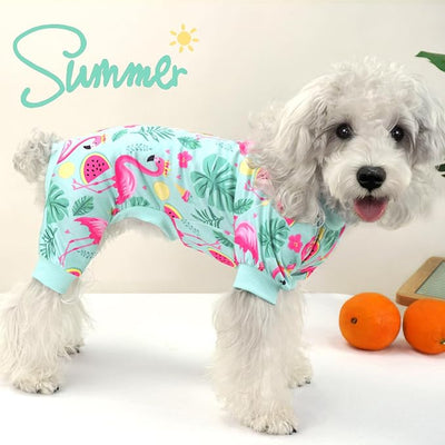 XPUDAC 4 Pack Dog Pajamas for Small Dogs Girl Boy Soft Stretchy Pjs Summer Puppy Clothes for Doggie Pet Outfits, 2X-Large