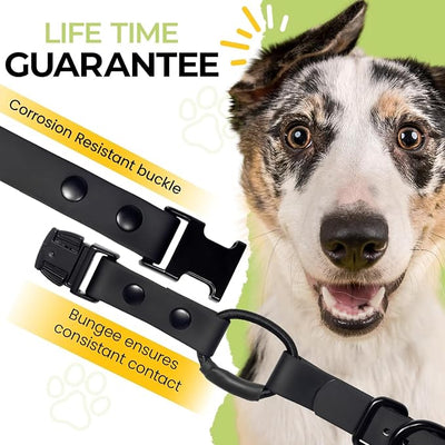 eCollar Replacement Strap Bungee Style - Waterproof Collar Compatible with Garmin, Dogtra, SportDOG, Educator (Purple, 3/4")