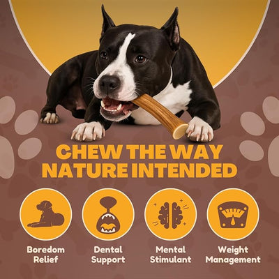 WhiteTail Naturals 1 Pound Bulk Antlers - Budget Friendly Sun Aged Deer Antler Dog Chews - Natural Chew Bones - Split and Whole Mix for Large & Medium Dogs - 4 to 5 Count
