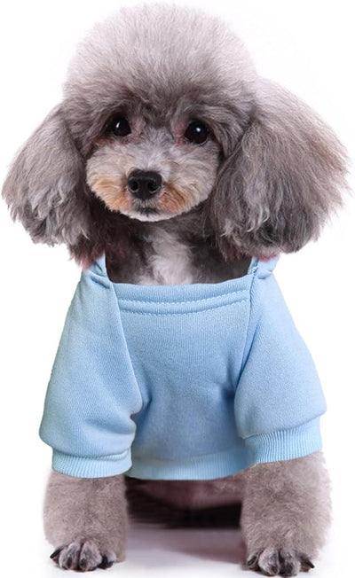 Jecikelon Print Dog Hoodies for Small Dogs, Soft Fleece Puppy Clothes for Pet Cat, Warm Winter Outfits Cold Weather Coats, Cute Sweatshirt Puppies Costume (Light Blue, Large)