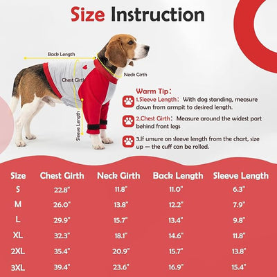 Lukovee Dog Surgery Recovery Suit for Female Male Dogs - Onesie Surgery Recovery Suit After Surgery (R, 2X-Large)