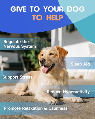 Dog Calming Drops for Anxiety Relief, Sleep Aid, Relaxing, 60ML | Dog Stress Relief During Travel, Firework, Thunderstorm, with GABA, Taurine, Astragalus, Schisandra, Roast Chicken Flavor