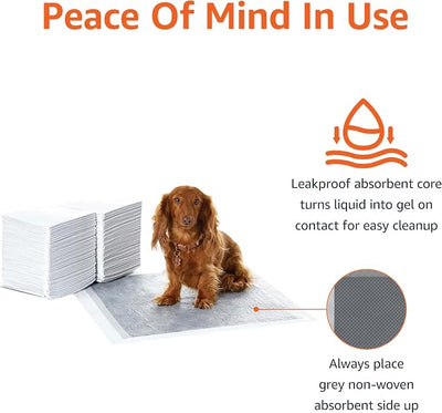 Amazon Basics Carbon Odor Control Dog and Puppy Pee Pads, 5-Layer Leak-Proof Super Absorbent, Quick-Dry Surface for Potty Training, Regular Size 22"x22", Gray, 120 Count