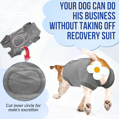 SlowTon Dog Surgery Recovery Suit - Soft Recovery Suit for Dogs Female Male, Dog Onesie for Surgery Female After Spay Prevent Licking, Neuter Suit for Male Dogs Surgical Recovery (Grey,XL)