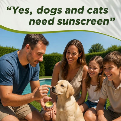 Sit Stay Forever Organic Sunscreen for Dogs and Cats, Dog Sunscreen, Dog Beach Essentials, Pet Sunscreen Cream for Dogs, Zinc Free, Dog Sun Protection, Dog Sunblock, Cat Sunscreen Made in USA, 2 oz