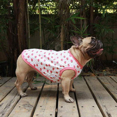 iChoue 100% Breathable Cotton English Bulldog Halloween Cartoon T Shirts Cute Clothes for Medium Large Dogs Vest Tank Tops Terrier Pitbull Strawberry - XXLarge
